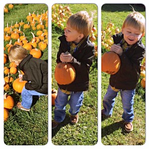 Liam at the pumpkin patch.