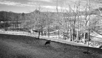 Stonewall Resort, WV