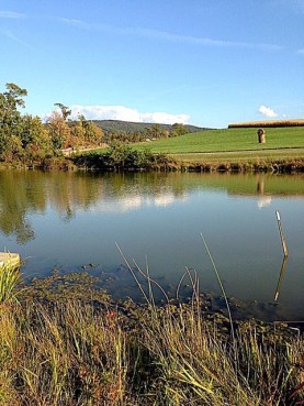 So peaceful at Rich Farms, PA