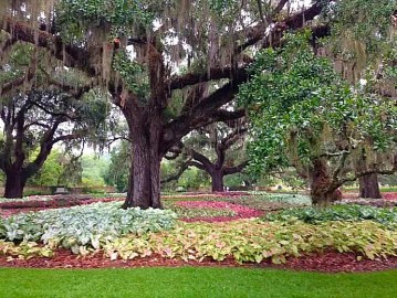 Beautiful Brookgreen Gardens, SC